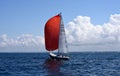 Cruising sailboat with red spinnaker.