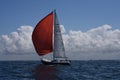 Cruising sailboat with red spinnaker.