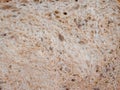 Crumb of the homemade white bread. Wheat bread slice texture background Royalty Free Stock Photo