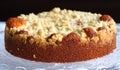 Crumble cake with rhubarb Royalty Free Stock Photo