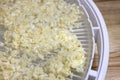 Crumbled Cauliflower laid on a dehydrating tray for food preservation Royalty Free Stock Photo