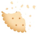 Crumbled cookie piece. Crispy biscuit realistic surface Royalty Free Stock Photo