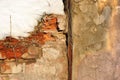 Crumbling brick wall with plaster and twigs of growing plants without leaves covered with snow Royalty Free Stock Photo