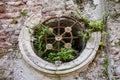Crumbling mausoleum wall with round window and iron bars, and plants growing out cracks, as a textured background