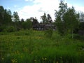 A crumbling old wooden house in a green meadow. Russian abandoned village. Green grass and weed field. Summertime by the Royalty Free Stock Photo