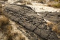 Crumbling ruins of Baltimore Boulevard on Assateague Island, Mar