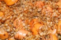 Crumbly buckwheat porridge with sausages. Close-up, surface texture