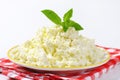 Crumbly cheese Royalty Free Stock Photo