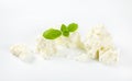 Crumbly white cheese Royalty Free Stock Photo