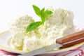 Crumbly white cheese Royalty Free Stock Photo