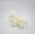 Crumped wax paper white background