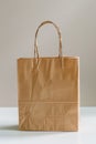 Crumpled brown paper bag standing on a neutral background with copy space Royalty Free Stock Photo