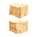 Crumpled Cardboard Box with Corrugated Sides as Packaging and Shipping Container Vector Set