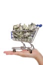 Crumpled dollars in shopping trolley on the palm Royalty Free Stock Photo