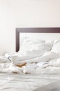 crumpled empty bed in the morning in bright sunny bedroom. coffee for breakfast and reading a book in bed Royalty Free Stock Photo