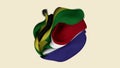 Crumpled Fabric Flag of South Africa Intro.