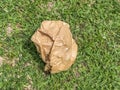 Crumpled piece of paper close-up on green grass top view. Garbage separation. recycle. Ecological situation concept