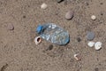 Crumpled single-use plastic bottle on the beach. Plastic garbage thrown by sea wave on shore. Concept - Pollution of world ocean