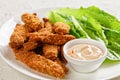 Crunchy Baked Chicken Tenders on a plate