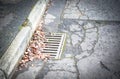 Crunchy Brown Autumn Leaves Scattered Atop a Slatted Street Gutter Next to the Curb Royalty Free Stock Photo