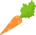 Crunchy carrot vector icon on white background. Vector illustartion.