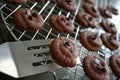 Crunchy Chocolate Cookies