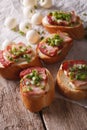 Crunchy crostini with bacon and mozzarella cheese close-up. vert Royalty Free Stock Photo