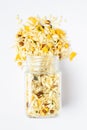 Crunchy Diet Mixture spilled out and in a glass jar, made with Puffed Rice, Corn Flakes, and Curry leaves.