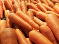 A crunchy, fresh and healthy bunch of bright-orange, large carrots. Royalty Free Stock Photo