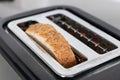 Crunchy multigrain bread slice popping from toaster, warm breakfast snack with textured crust Royalty Free Stock Photo