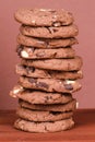 Crunchy stacked chocolate cookies