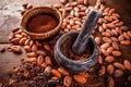 Crushed cacao beans Royalty Free Stock Photo