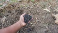 Crushed charcoal handle for soil maintenance, clear plantings, agricultural gardens