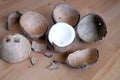 Crushed coconut shell and coconau fruit on wooden background