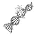 Crushed DNA spiral, hand drawn vector illustration