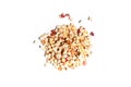 Crushed dried apples on white background Royalty Free Stock Photo