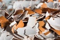 Crushed egg shell macro Royalty Free Stock Photo