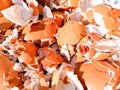 Crushed Egg Shells Royalty Free Stock Photo