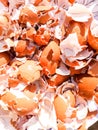 Crushed Egg Shells Royalty Free Stock Photo