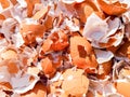 Crushed Egg Shells Royalty Free Stock Photo