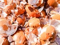 Crushed Egg Shells Royalty Free Stock Photo