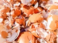 Crushed Egg Shells Royalty Free Stock Photo