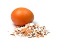 Crushed eggshells in close-up Royalty Free Stock Photo