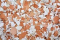 Crushed eggshells Royalty Free Stock Photo