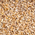 Crushed Emmer farro hulled wheat groats close up