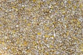 Crushed grains of dried corn and wheat Royalty Free Stock Photo