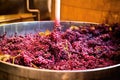 crushed grape must in a traditional winemaking vat