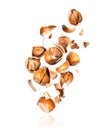 Crushed hazelnuts frozen in the air on a white background Royalty Free Stock Photo