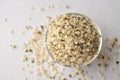 Crushed Hemp hearts or seeds - natural and nutritious dietary supplement suitable for vegans Royalty Free Stock Photo