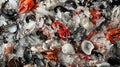 Crushed ice bed filled with assorted raw shellfish and crustaceans. Royalty Free Stock Photo